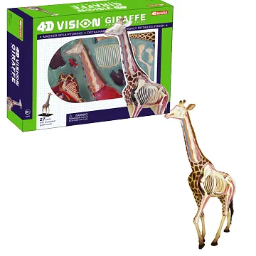 《4D MASTER》全透視青蛙 歷史價格詳細信息