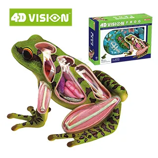 《4D MASTER》全透視青蛙 歷史價格詳細信息