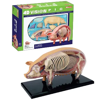 《4D MASTER》全透視青蛙 歷史價格詳細信息