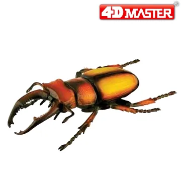 《4D MASTER》昆蟲系列-鬥牛蟻BULLDOG ANT 歷史價格詳細信息