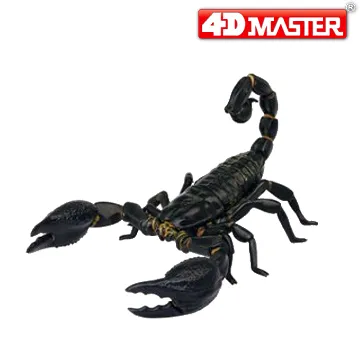 【SCORPION】動物紋拼接造型長袖T-共二色 歷史價格詳細信息