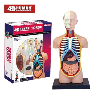 《4D MASTER》人體解剖教學模型系列 - 全透視人體(全身) 626204 歷史價格詳細信息