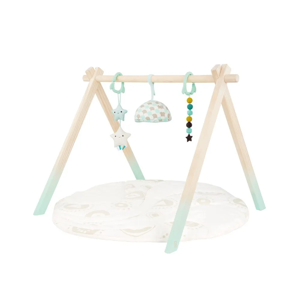 B.Toys 派樂地天氣觀測站 歷史價格詳細信息