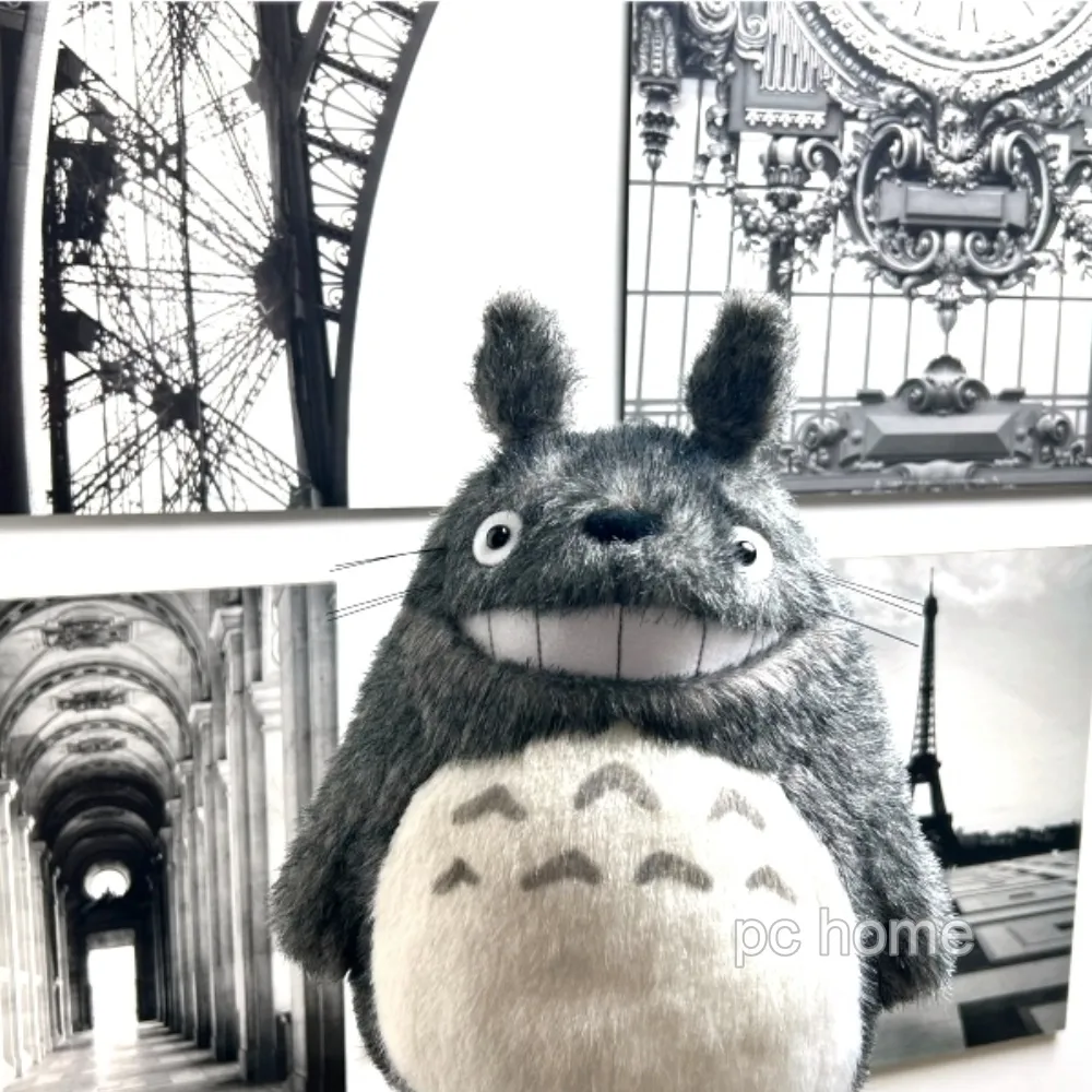 日本 宮崎駿 TOTORO 不織布保冷便當手提袋-龍貓食物(4995) 歷史價格詳細信息