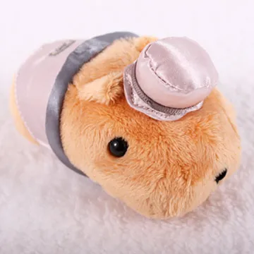 派君溜冰鞋兒童全套裝可調閃光直排輪小孩輪滑鞋滑冰鞋旱冰鞋男童 歷史價格詳細信息