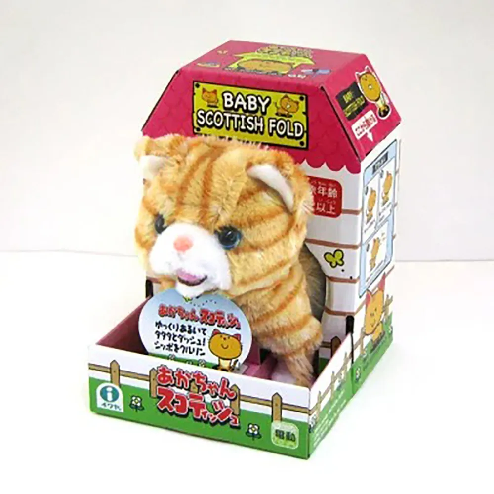 AA1271【西洋歐美】Schoolgirls &amp; Teachers #3: Moral Degeneration 歷史價格詳細信息