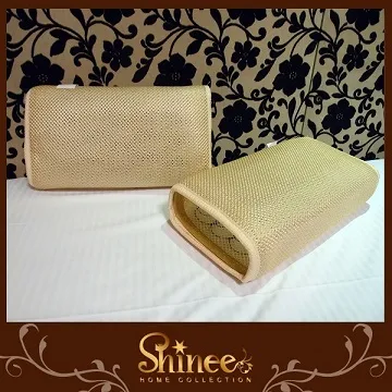 SHINEE 創新超涼感《果凍冷凝膠氣泡記憶枕-平面型》1入(枕頭) 歷史價格詳細信息