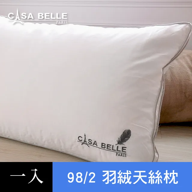 法國Casa Belle《頂級北歐 98/2 羽絨天絲枕》二入 歷史價格詳細信息
