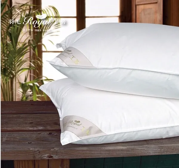 羽毛枕/50*70cm【MUJI 無印良品】 歷史價格詳細信息