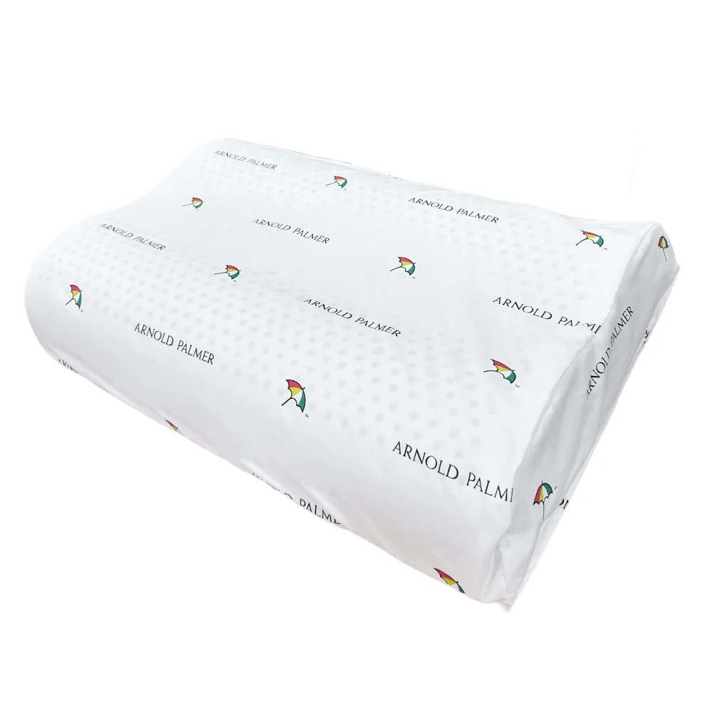 【Arnold Palmer雨傘牌】人體工學乳膠枕2入 歷史價格詳細信息