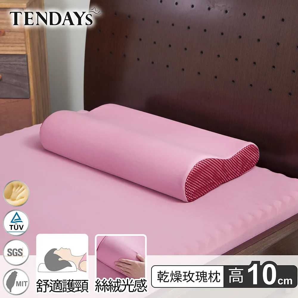 [TENDAYS] 玩色柔眠枕(乾燥玫瑰)單入 (8/10cm高任選)-買加贈 歷史價格詳細信息