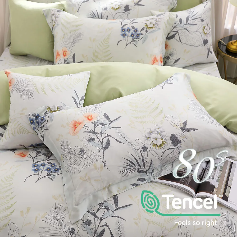 鴻宇 天絲枕套2入 天絲400織 歐式壓框枕套 沐晨藍 台灣製 歷史價格詳細信息