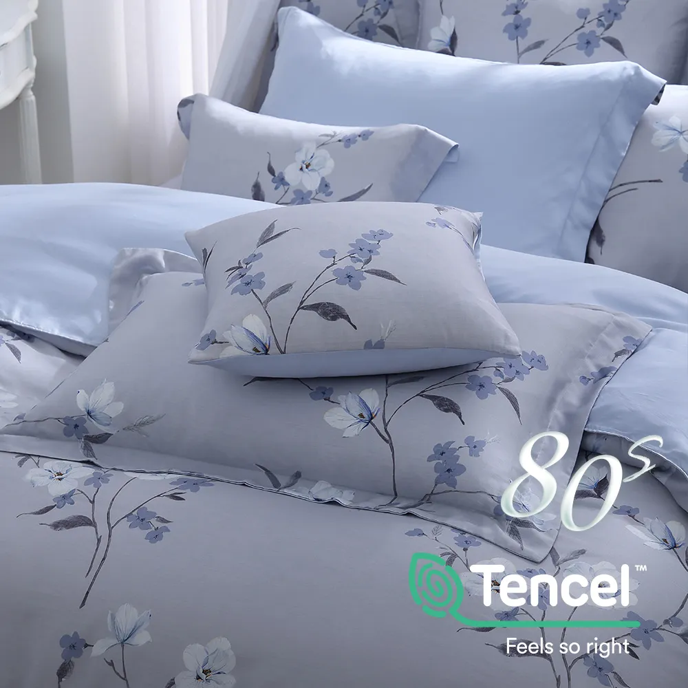 鴻宇 天絲枕套2入 天絲400織 歐式壓框枕套 沐晨藍 台灣製 歷史價格詳細信息