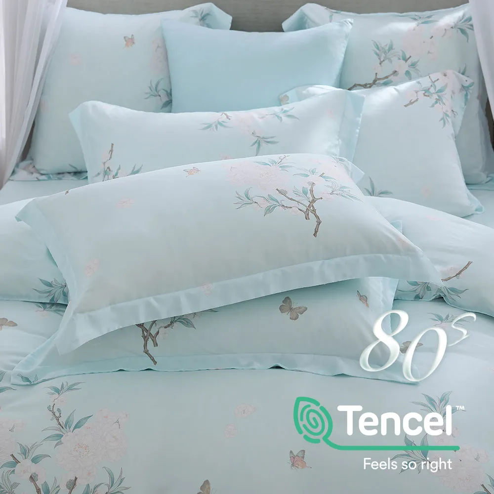 鴻宇 天絲枕套2入 天絲400織 歐式壓框枕套 沐晨藍 台灣製 歷史價格詳細信息