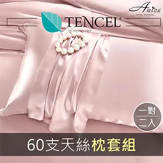100%天絲枕套 信封枕套 枕頭套 60支天絲枕套【一對2入】零碼枕頭套枕墊 TENCEL抗菌透氣排濕 TC 雅妮詩 歷史價格詳細信息