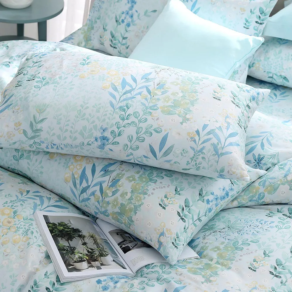 鴻宇 100%精梳棉 美國棉300織 藍伯特 雙人加大床包枕套三件組 歷史價格詳細信息