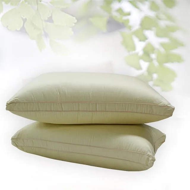 【FITNESS】 日本進口纖維 東洋紡雙人加大抗菌被(加重)4.2公斤 歷史價格詳細信息