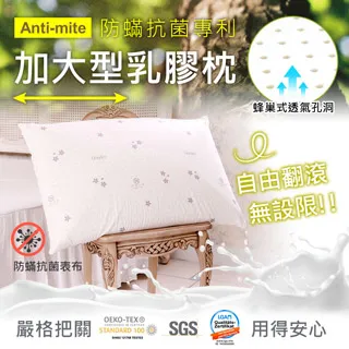 鴻宇HongYew 美國棉授權 爵品羽絨枕2入 歷史價格詳細信息