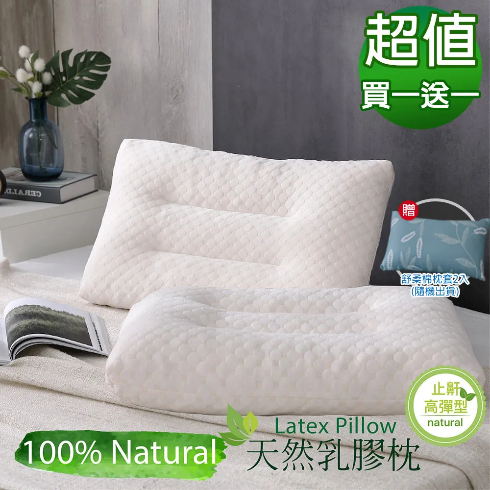 【BEST貝思特】100%40支天絲涼被床包組 單人 雙人 加大 均一價 歷史價格詳細信息