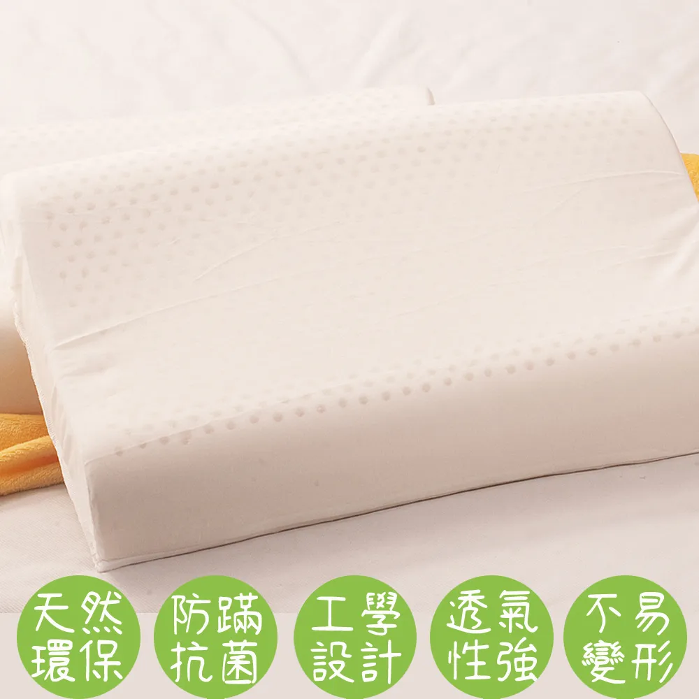 【Carolan】迪士尼 法蘭絨暖暖被(頑皮米奇) 歷史價格詳細信息