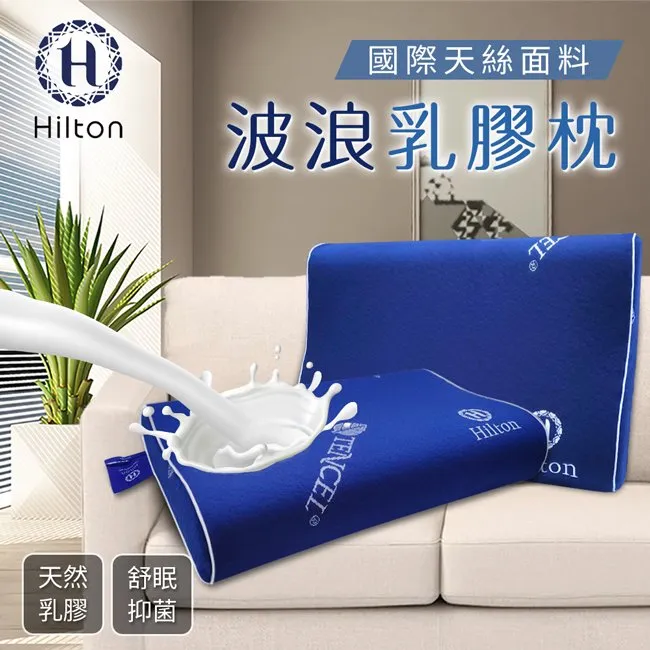 【Hilton希爾頓】國際精品面料100%萊賽爾60支紗極度沉睡枕 B0117-L 枕套 枕芯 萊賽爾 歷史價格詳細信息
