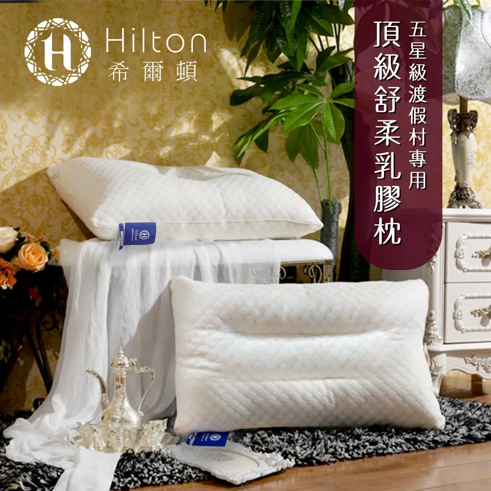 【Hilton 希爾頓】五星級專用 獨立筒枕 純棉立體枕 銀離子抑菌 枕頭 白色(B0065) 歷史價格詳細信息
