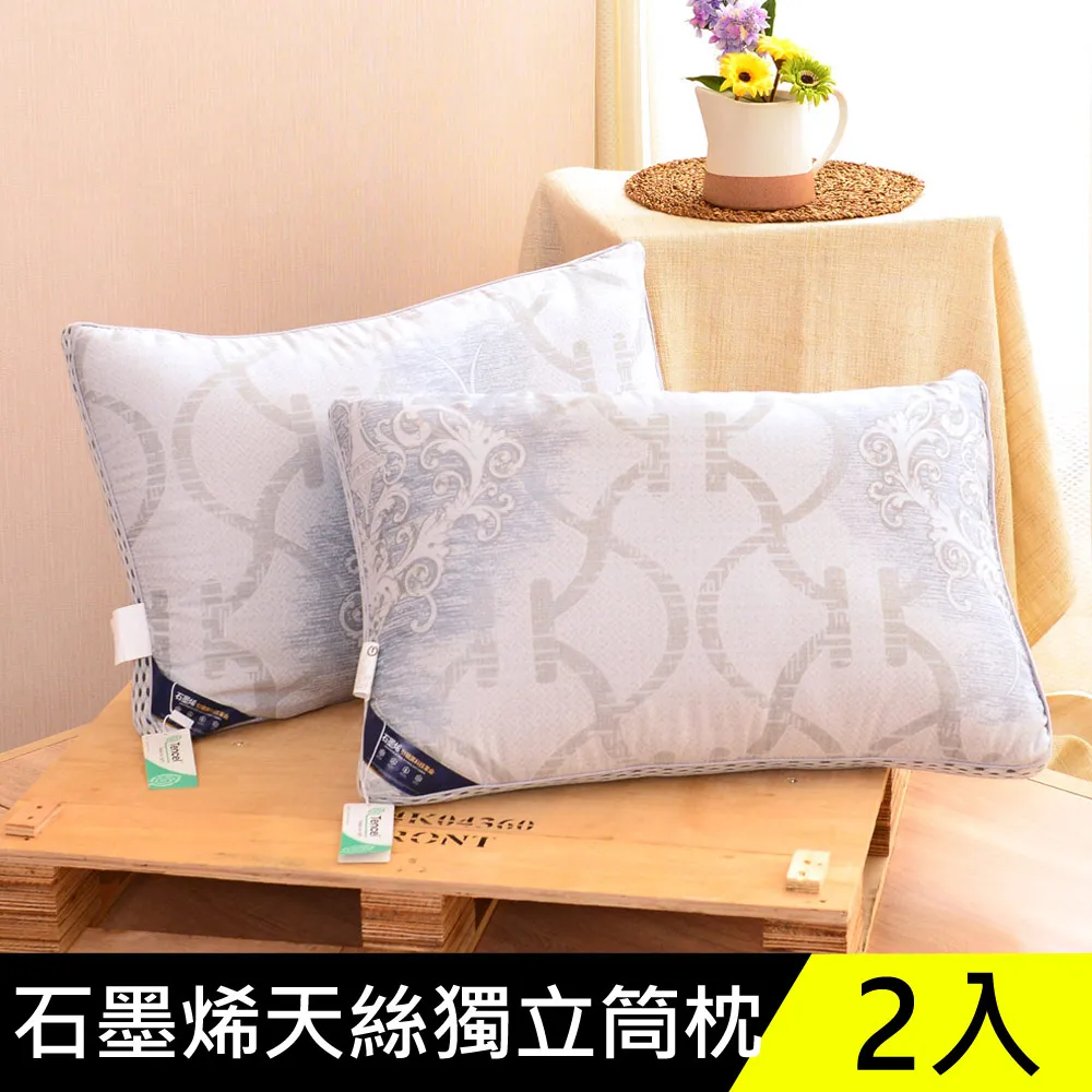 LooCa石墨烯抗菌天絲三段式獨立筒枕1入 歷史價格詳細信息