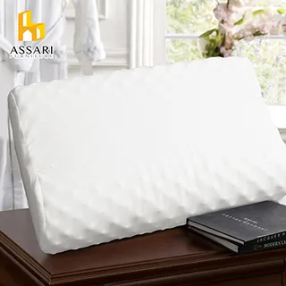 顆粒工學乳膠枕 60cm X 40cm X 12cm 【舒壓按摩顆粒、支撐性佳、人體工學曲線】台灣製 歷史價格詳細信息