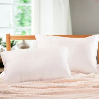 Anson純棉立體邊羽絨枕(1入) 歷史價格詳細信息