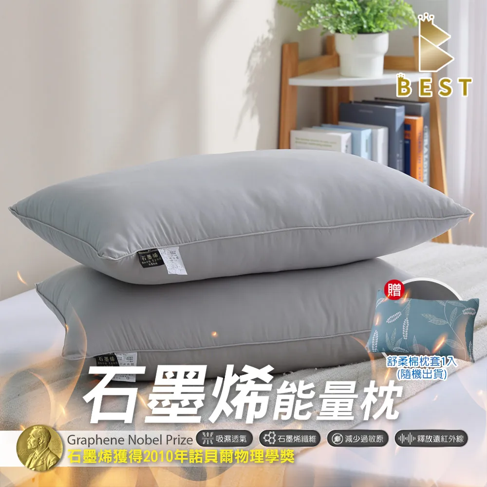 【BEST貝思特】石墨烯防潑水透氣枕頭保潔墊 買一送一 2組(4入) 鋪棉加厚枕頭套 歷史價格詳細信息