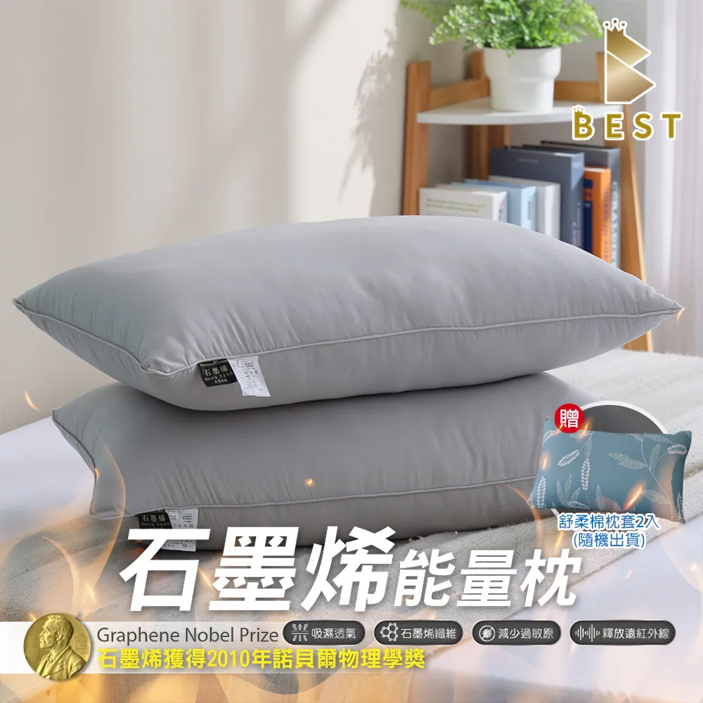 【BEST貝思特】石墨烯防潑水透氣枕頭保潔墊 買一送一 2組(4入) 鋪棉加厚枕頭套 歷史價格詳細信息