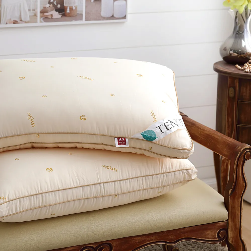 鴻宇HongYew 晨曦天絲被-雙人 歷史價格詳細信息