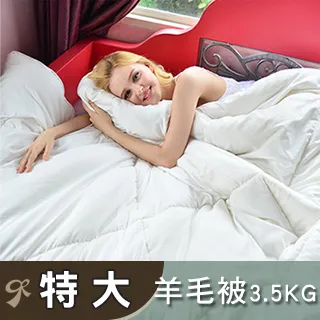 【義大利La Belle】 羊毛天絲發熱被 羊毛被 雙人6x7尺 ｜冬被 歷史價格詳細信息