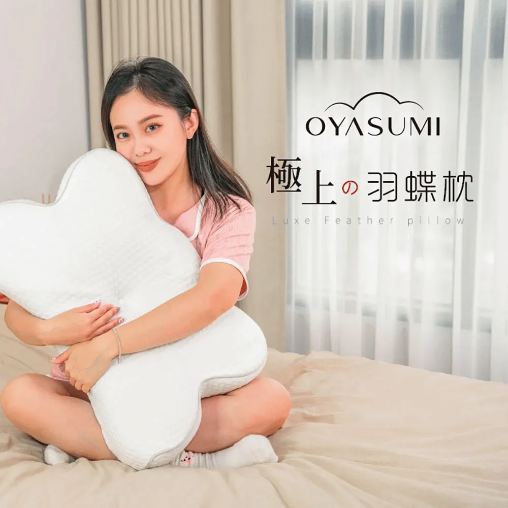 【Pure Sleep】殿堂的夢枕專用枕套 歷史價格詳細信息