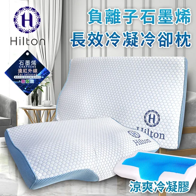 【Hilton 希爾頓】負離子竹炭遠紅外線健康靠枕/午安枕(B0952-S) 歷史價格詳細信息