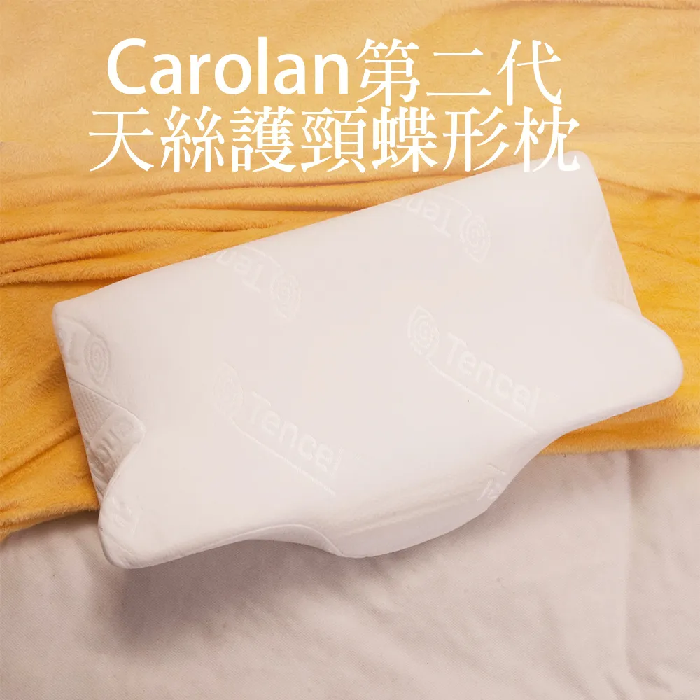 Carolan 天絲備長炭蝴蝶枕 歷史價格詳細信息