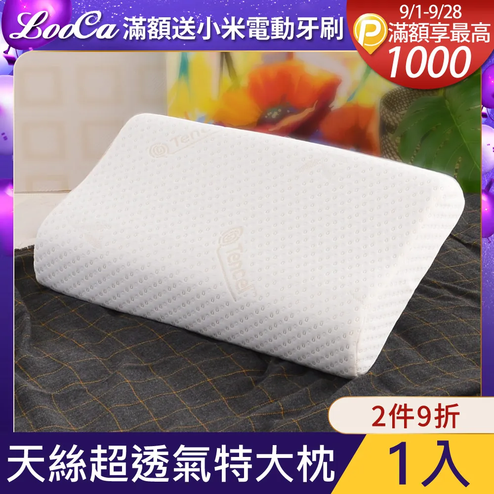 LooCa 特大型-頂級HT工學型乳膠枕(2入) 歷史價格詳細信息