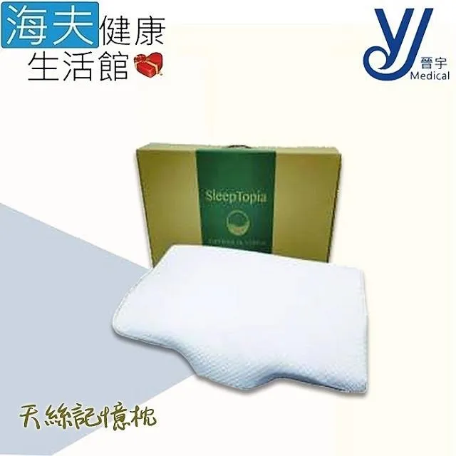 【海夫健康生活館】晉宇 天絲記憶枕(61x33x12cm) 歷史價格詳細信息