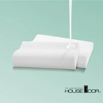 【House Door】涼感親膚釋壓記憶枕人體工學型天絲舒柔表布標準尺寸-2入 歷史價格詳細信息