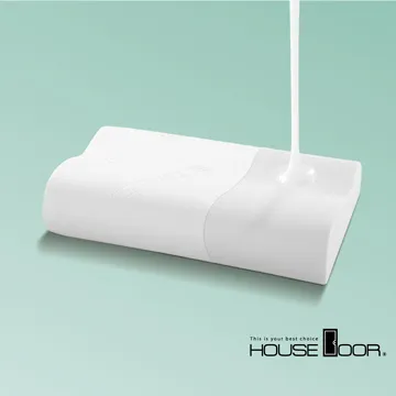 【House Door】涼感親膚釋壓記憶枕人體工學型天絲舒柔表布標準尺寸-2入 歷史價格詳細信息