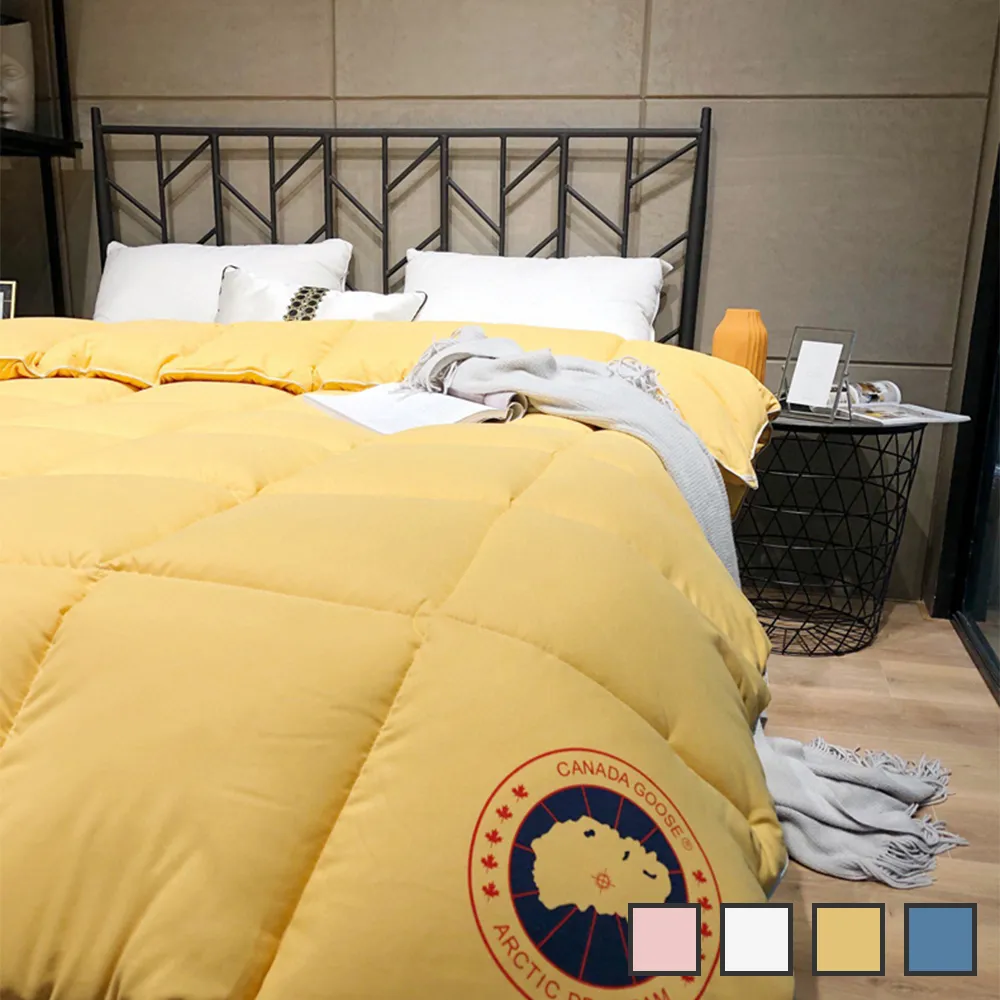 【CS22】加大碼極舒棉蝴蝶結中腰內褲(5件/入) 歷史價格詳細信息