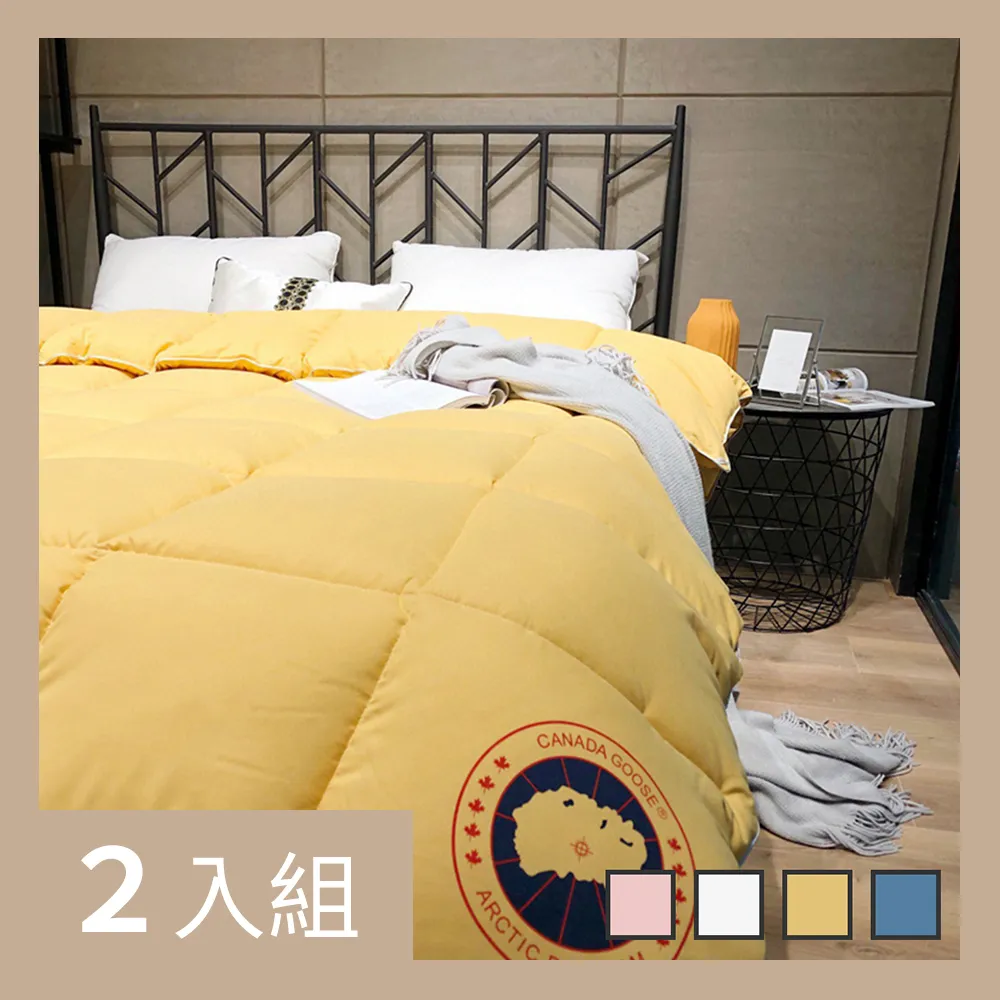 【CS22】加大碼極舒棉蝴蝶結中腰內褲(5件/入) 歷史價格詳細信息