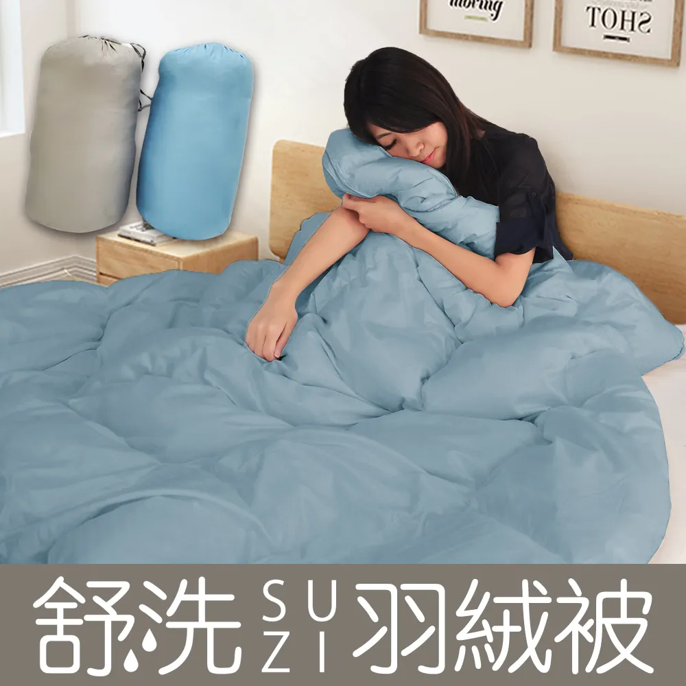 《dreamer STYLE》舒洗羽絨被-夏.微風(藍) 歷史價格詳細信息