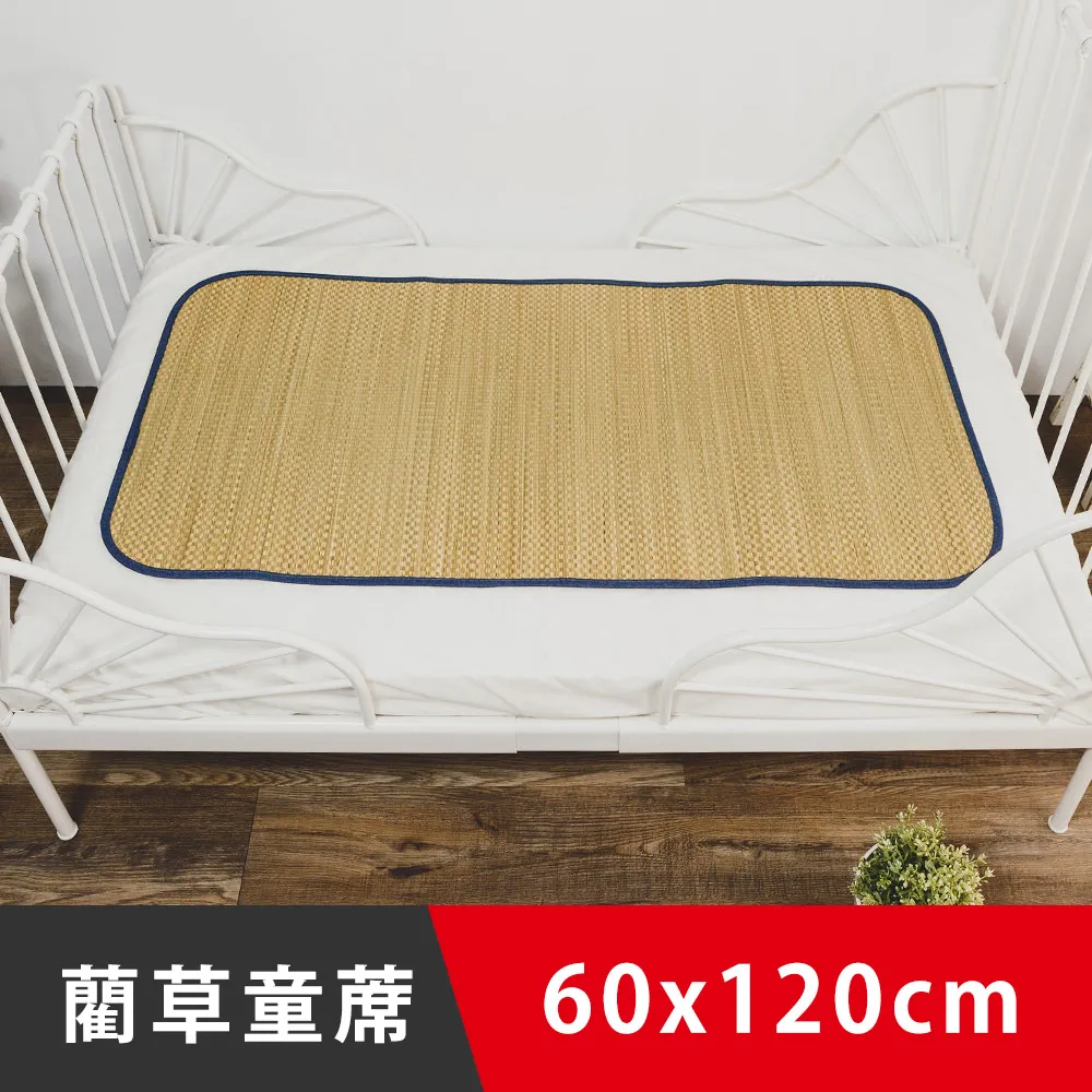 日和賞-牛仔藍雙人加大6尺天然藺草蓆 歷史價格詳細信息