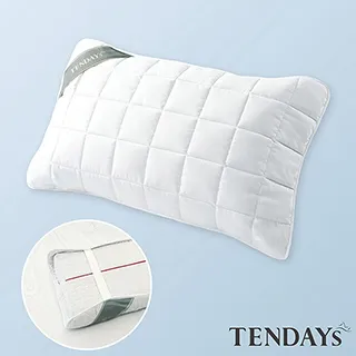 [TENDAYS]備長炭床包型保潔墊(5尺標準雙人) 歷史價格詳細信息