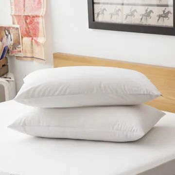 LAMINA 高科技膜防蹣防枕用保潔墊-2入(藍) 歷史價格詳細信息