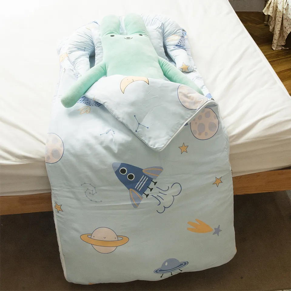 Carolan 天絲備長炭蝴蝶枕 歷史價格詳細信息