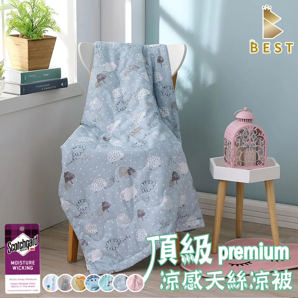 【BEST貝思特】天絲涼被 100%萊賽爾天絲 台灣製 多款任選 TENCEL 歷史價格詳細信息
