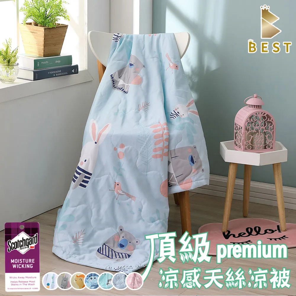 【BEST貝思特】天絲涼被 100%萊賽爾天絲 台灣製 多款任選 TENCEL 歷史價格詳細信息