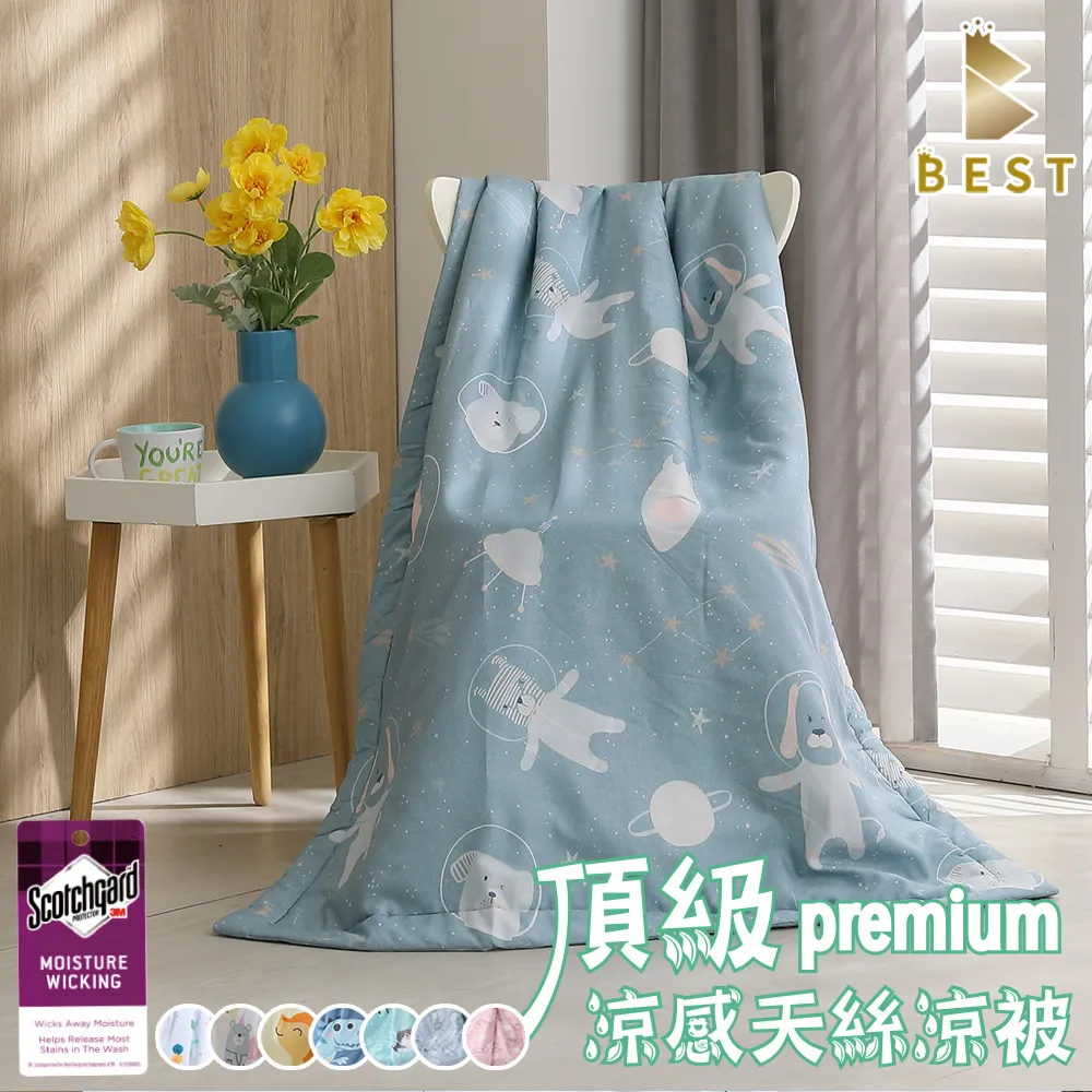 【BEST貝思特】天絲涼被 100%萊賽爾天絲 台灣製 多款任選 TENCEL 歷史價格詳細信息